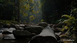 Cycling China: Beijing to Guangzhou 15 Days