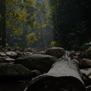 Cycling China: Beijing to Guangzhou 15 Days